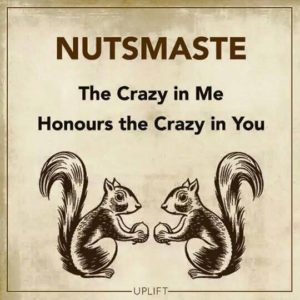 squirrels-nutsmaste